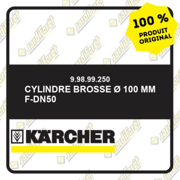 Cylindre brosse ø 100 mm F-DN50 99899250 Karcher