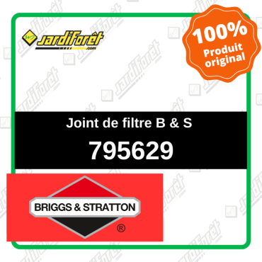 Joint de filtre Briggs and...