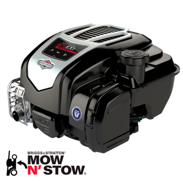 Moteur Briggs & Stratton -...