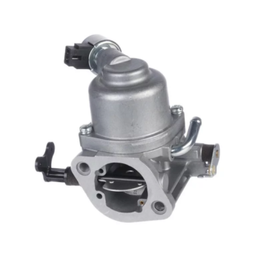 Carburateur BRIGGS &...