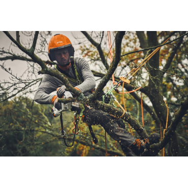 élagage avec la STIHL GTA40