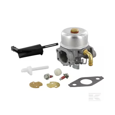 CARBURATEUR Briggs & Stratton - 798653