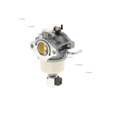 Carburateur BRIGGS & STRATTON