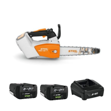 Pack tronçonneuse d'élagage Stihl MSA 161 T + 2 x AP200P + AL301