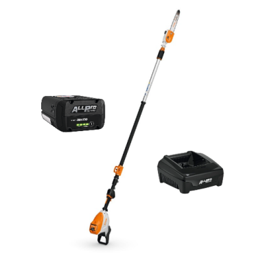Pack Elagueuse sur perche à batterie HTA 160 + AP300P + AL301