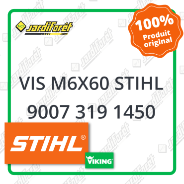 Vis m6x60 stihl STIHL référence 9007 319 1450