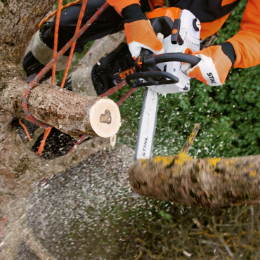 MS201 TC-M Tronçonneuse d'élagage STIHL en utilisation