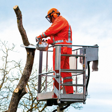 Élagueur utilisant un tronçonneuse STIHL professionnelle MS201T C-M