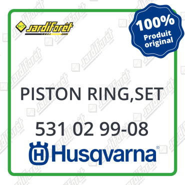 Piston ring
