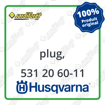 Plug