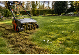 Scarifier sa pelouse au printemps : quand et comment bien le faire ?