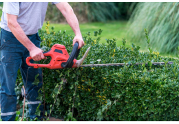 Comment entretenir ses haies au printemps ?